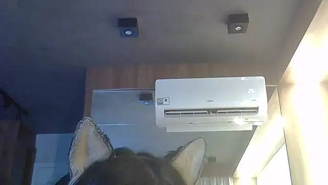 SkinnyKitten Chat XXX live