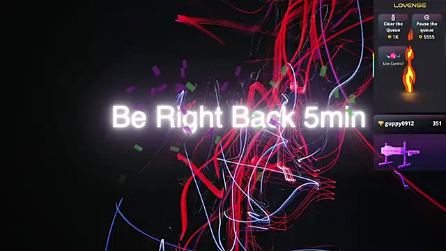 Show Webcam de Toronto325