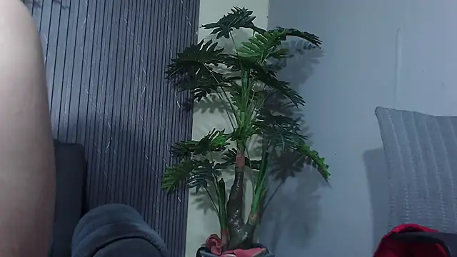 denise_babe_'s Live XXX Chat