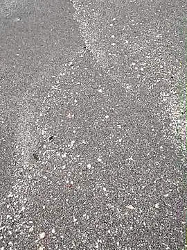 sarahkat86: απευθείας συνομιλία ΧΧΧ