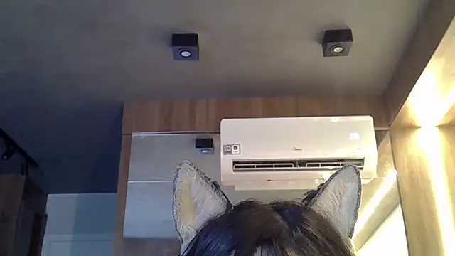 Show Webcam de SkinnyKitten