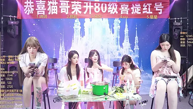 A848-01 网络视讯表演