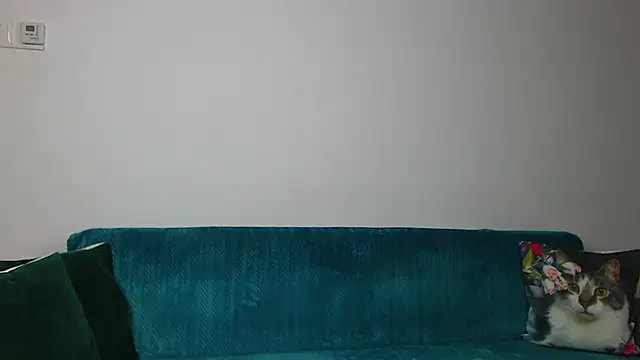 SaraDaisy: απευθείας συνομιλία ΧΧΧ