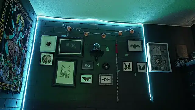 Онлайн чат XXX insania_9999_