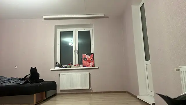 WalterSilvestrini's Live XXX Chat