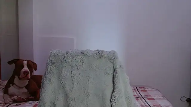 MadisonCambel's Live XXX Chat