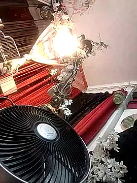 Show Webcam de ClonicKaaba