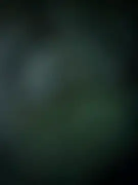 Chatroom XXX en direct de ViNas-89