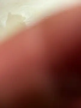 Pertunjukan Kamera Web 69sexyiestass