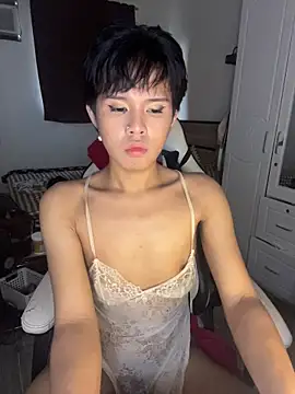 Plaxtique élő XXX-chatje