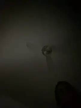 sabrinaneves 웹캠 쇼