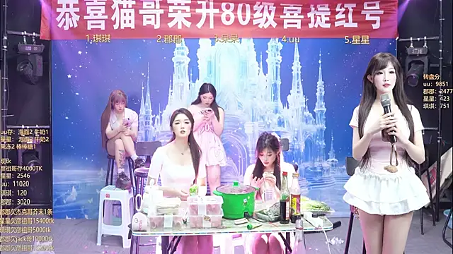 A848-01 ওয়েবক্যাম শো