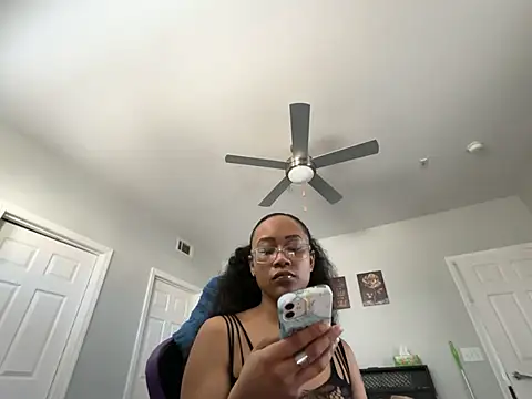 RylReesen Webbikameraesitys