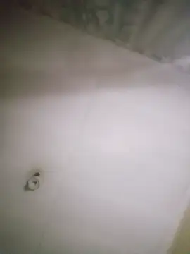 LONGDICK985M Chat XXX live