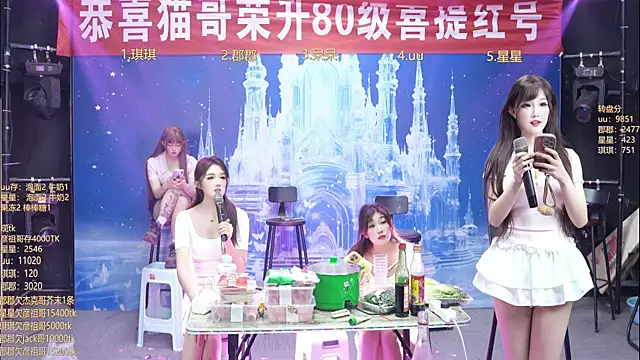 A848-01 网络视讯表演