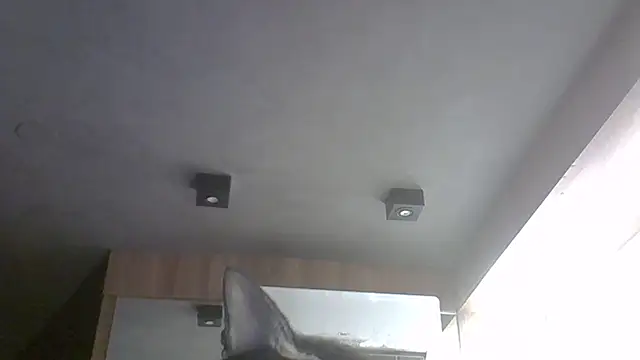 Chat XXX en directo de SkinnyKitten