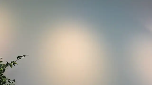 HannaBrave live XXX chat