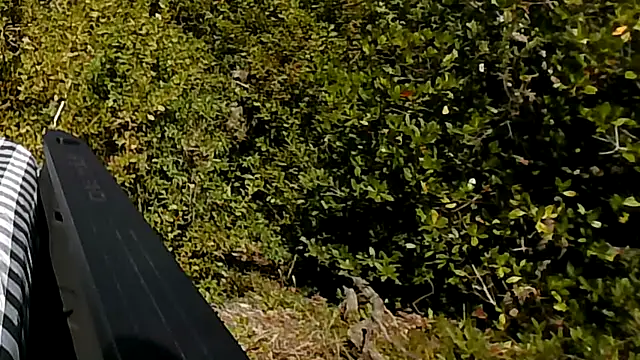 ExoticChris: вебкам-шоу