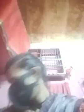 HOT-SEER3のウェブカメラショー