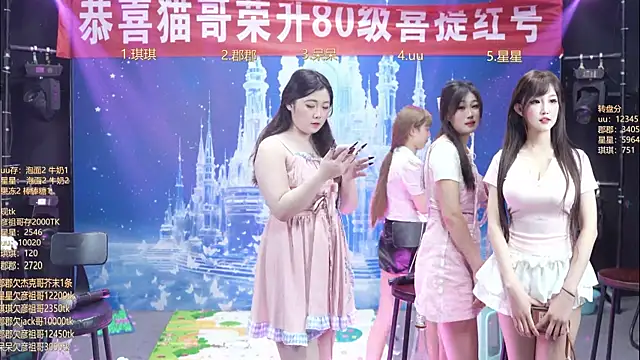 A848-01 网络视讯表演