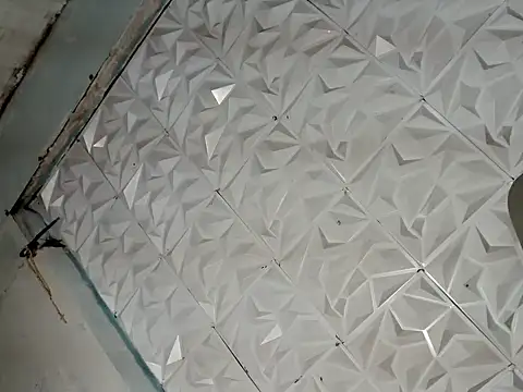 hugecockbabe 网络视讯表演