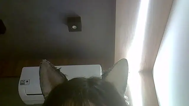 Онлайн чат XXX SkinnyKitten