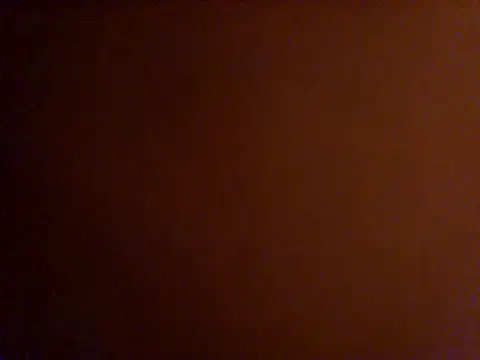 Love_Bert webcam show