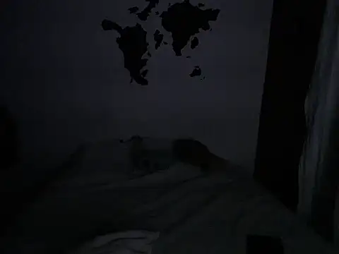 aria_jhonssonのライブXXXチャット