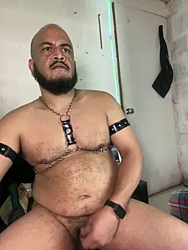 the_master_foal_ Chat XXX live