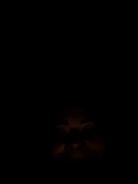 Flacara100 라이브 XXX 채팅