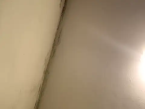 manuel9428 live XXX chat