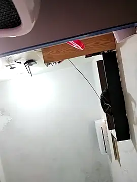 lisantD 网络视讯表演