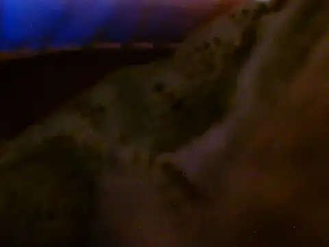 Hershey10 Live XXX-chat