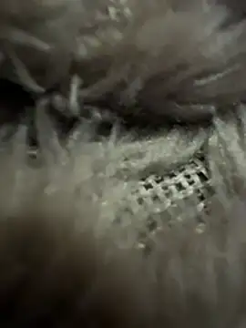 anonimgirl18old's Live XXX Chat