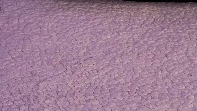 mandi4pole_ 网络视讯表演