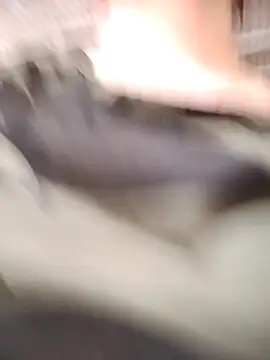 JasminePham 现场XXX聊天