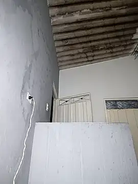 AssRed_Roouse: διαδικτυακό σόου στην κάμερα