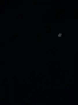 Show de gatadaacademia na webcam