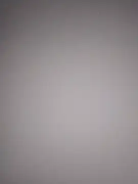 nightwolfX1 网络视讯表演