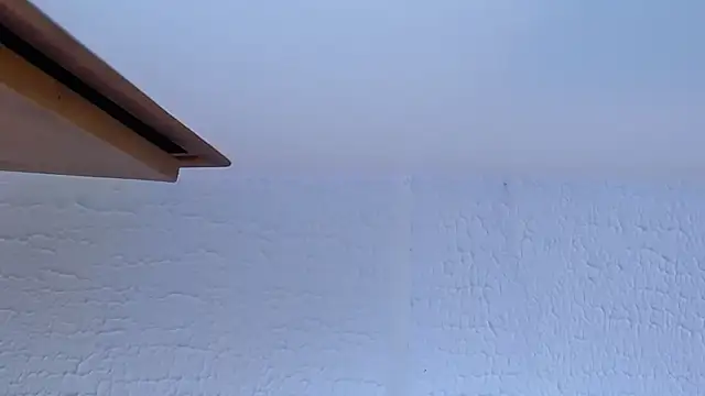 Вебкам-шоу evans__collin