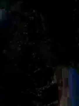 Show Webcam de An-An19