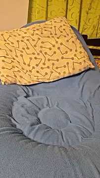 Show Webcam de WiIlL__23