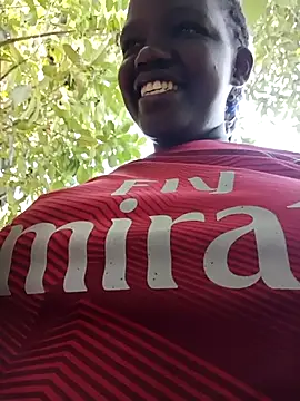 holygrail001n Webbikameraesitys