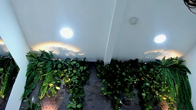 alice_greco Live XXX-chat