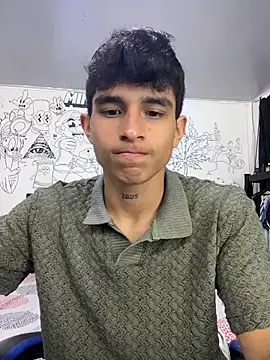 nic_2005 网络视讯表演