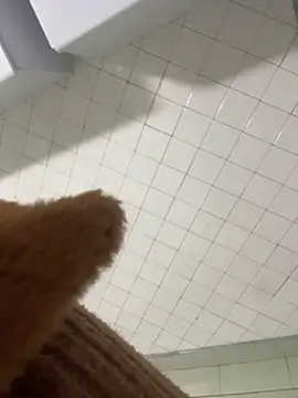 Webkamerová show cristal__violetaa