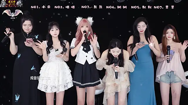 YB-001のウェブカメラショー