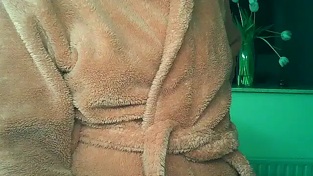 UllimOhi_n Webbikameraesitys