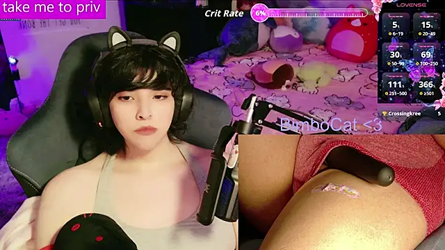 BimboCatのウェブカメラショー