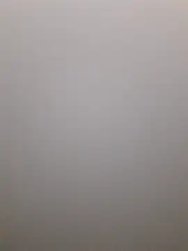 feathersify live XXX chat